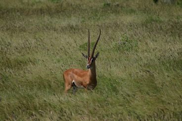 kenya 033